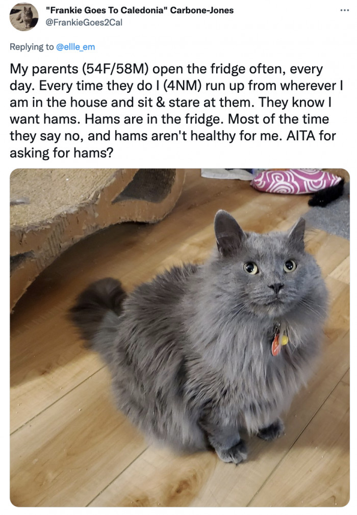 What if they forgot the hams? Is that why they don’t give him the hams? Because they only have chickems?