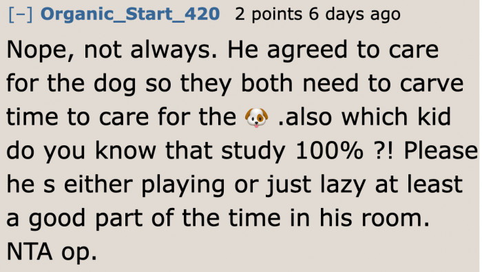 This redditor believes that no further info is needed. It can be easily assumed that the brother is just being lazy.