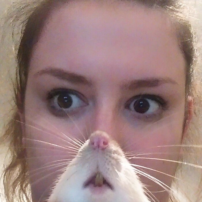 6. A rat showed up mid-photo; now she’s officially 