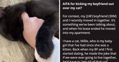 Boyfriend Quickly Becomes An Ex After Calling His Girlfriend's Cat Bad Names When He Thought She Wasn't Home