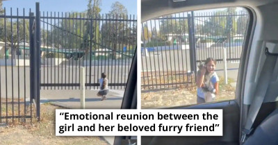 Cat Goes Missing For Two Months Only To Run Back Into Her Hooman's Arms After Hearing Her Voice (Video)