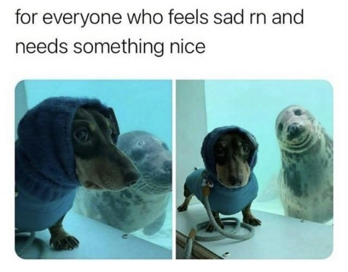 4. Someone just made a new friend, and it's lovely to see