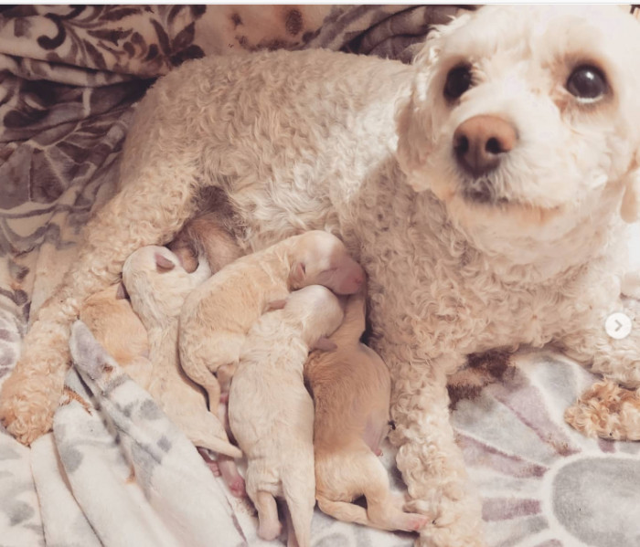 21. The tiniest little clouds