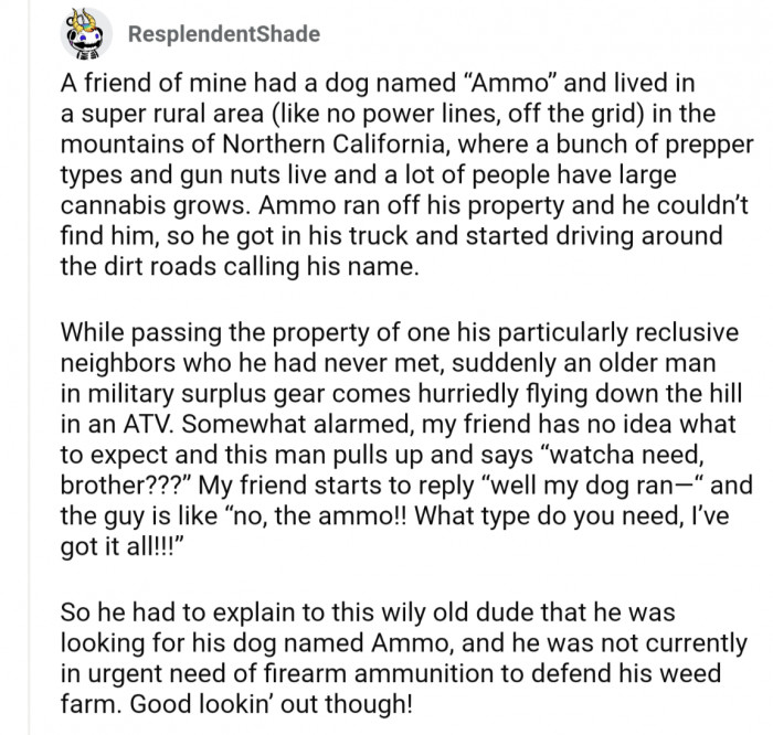 11. That was an adventure