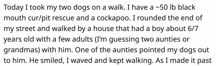 OP was normally walking her dogs, a big dog and a small one. A boy spotted them, and OP was gracious enough to acknowledge the boy when he smiled.