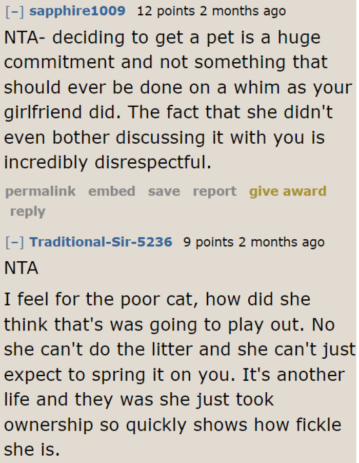 Adopting a pet shouldn't be decided on a whim.