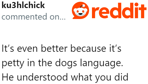 The OP perfectly sent the message in dog language.