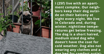 Person Intentionally Makes Neighbor's Dog Bark So That They Would Bring Him Inside In The Cold Weather, But The Plan Backfires