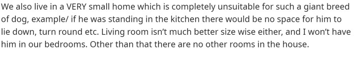 The size of their home also matters because, again, it's a pretty large dog that they're looking to bring.