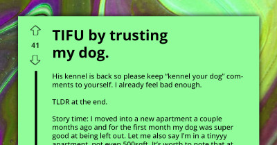 Dog Owner Finds Ransacked Apartment, Realizes Her Dog's Clever Escape Caused Everything