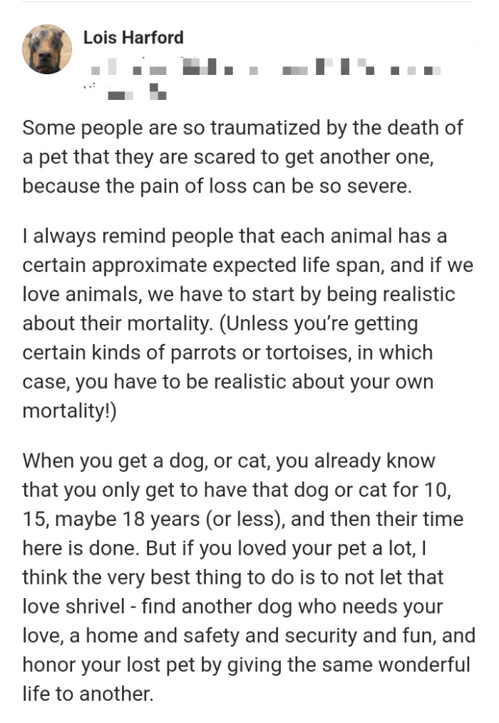 16. They are scared to get another one