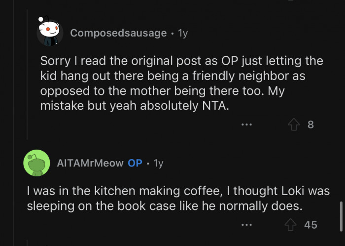 Loki normally sleeps on the bookcase.