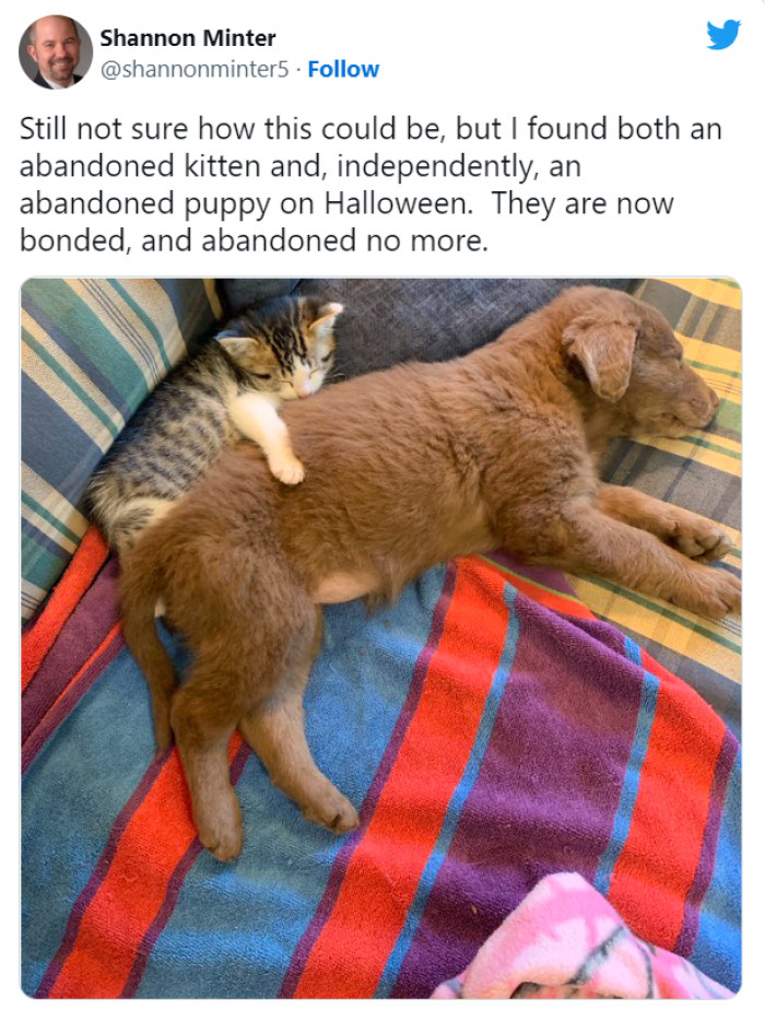 1. They were abandoned once. Now, they have each other.