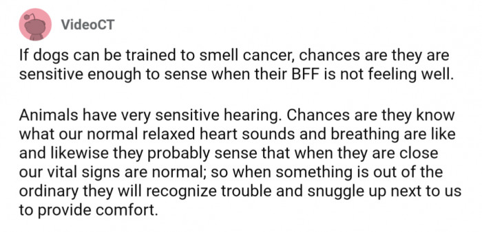 A lot of folks suggest maybe it boils down to their powerful senses