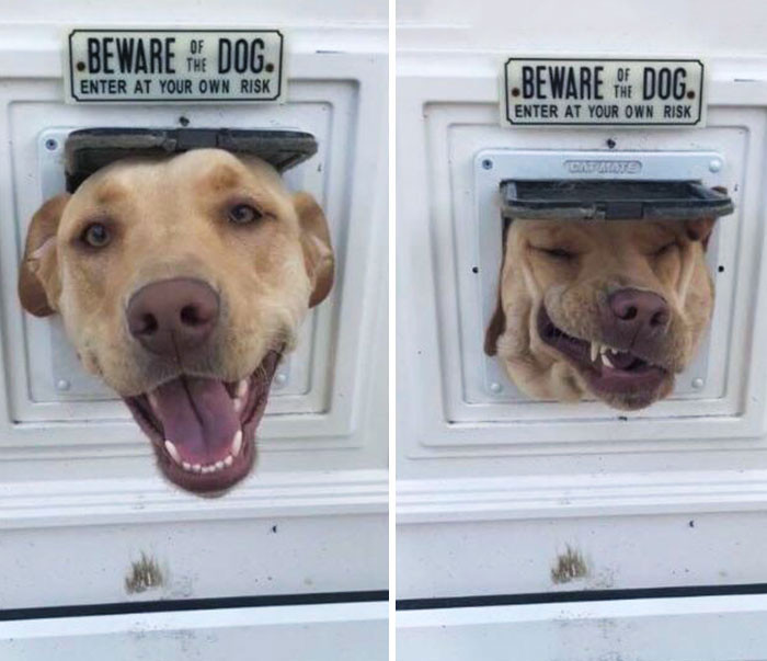 17. I Cannot Stop Laughing At The Sign