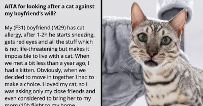 Boyfriend Gets Upset At Girlfriend For Looking After A Cat She Gave Away When He Moved In