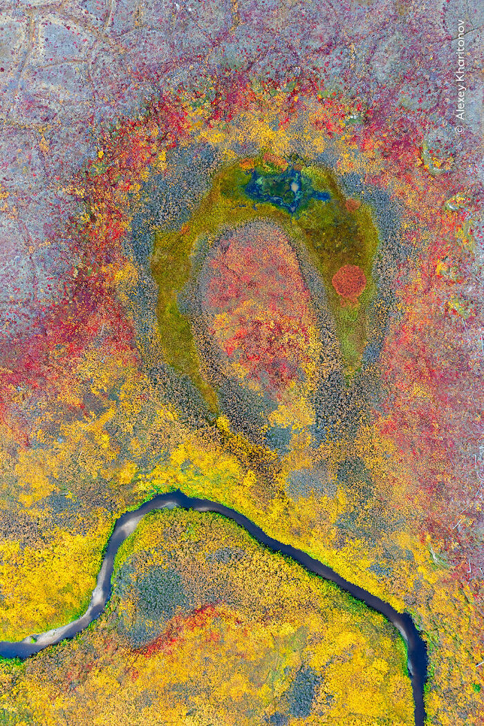 “Autumn Icon” By Alexey Kharitonov