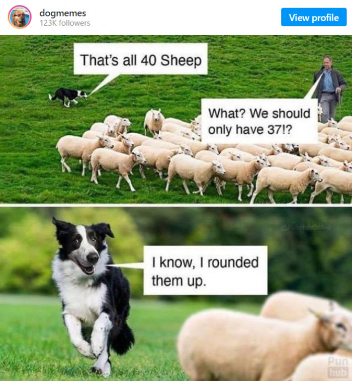 9. Doggo knows a certain math concept