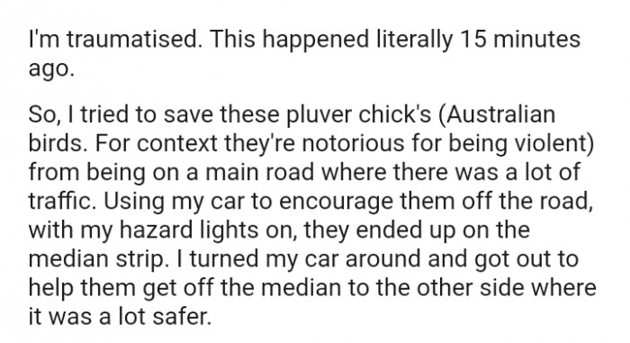 The OP used her car to encourage them off the road, with her hazard lights on, they ended up on the median strip