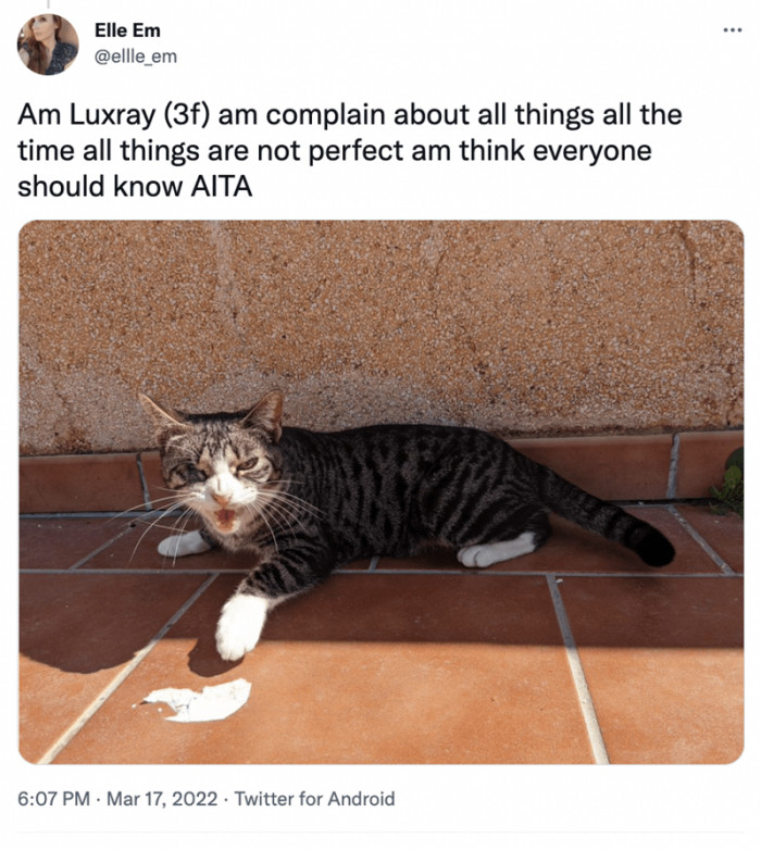 3. You're not the a-hole, cutie