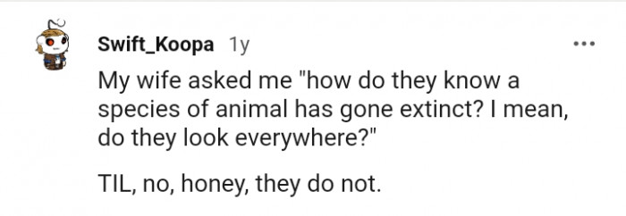 Do they look everywhere?