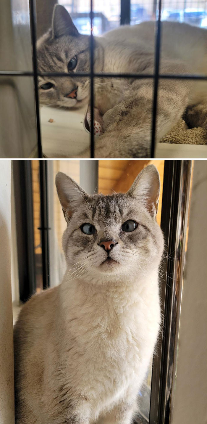 13. Asira may be cross-eyed, but you cannot deny her beauty.