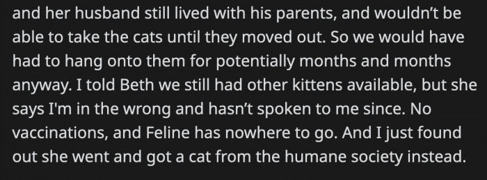 The cats then didn't have anywhere to go