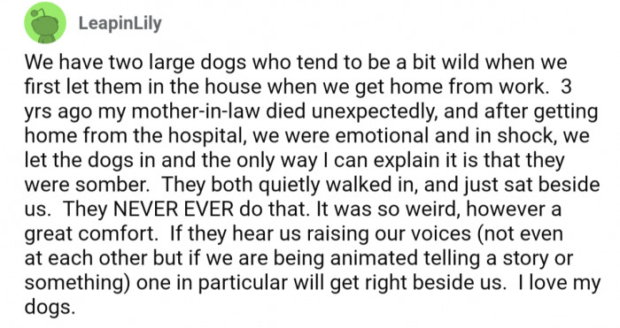 Other commentors shared their own experiences with their animals showing empathy