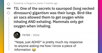 The Sauropod (Long-Necked Dino) Had Unusual Lungs Capable Of Getting Oxygen During Inhaling And Exhaling
