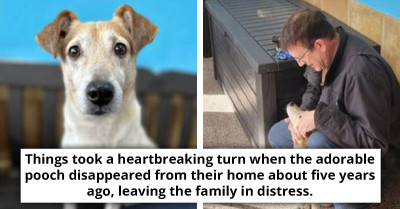 Emotional Reunion After Half a Decade - Cherished Dog Miraculously Returns to Family