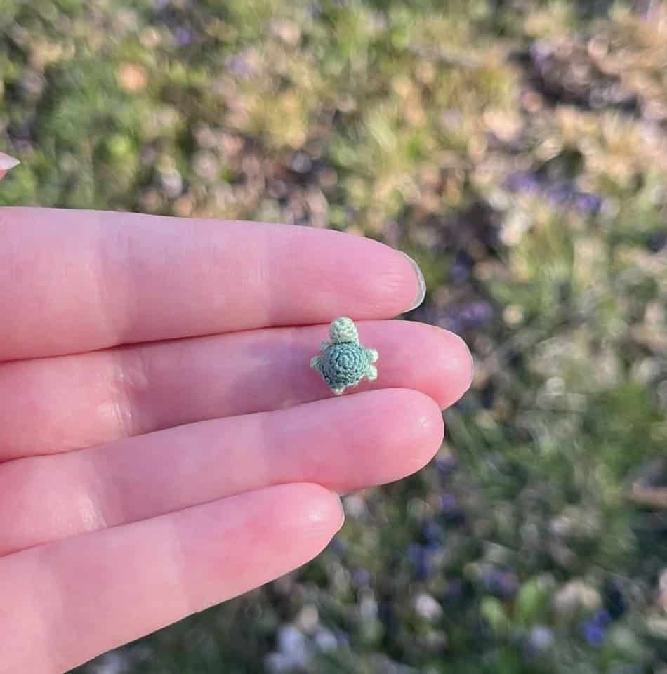 11. “An adorable crocheted turtle for ants.”