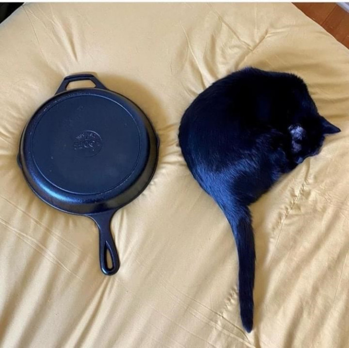 44. I don't see any difference