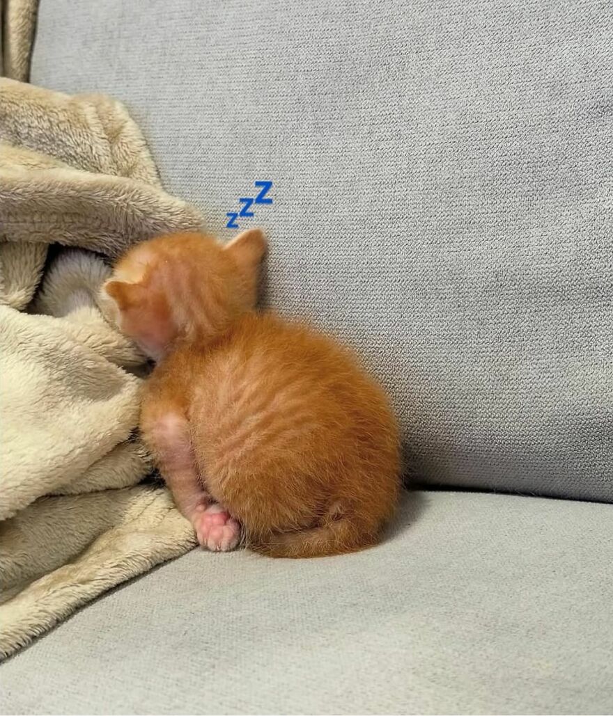 He powered down mid-yawn