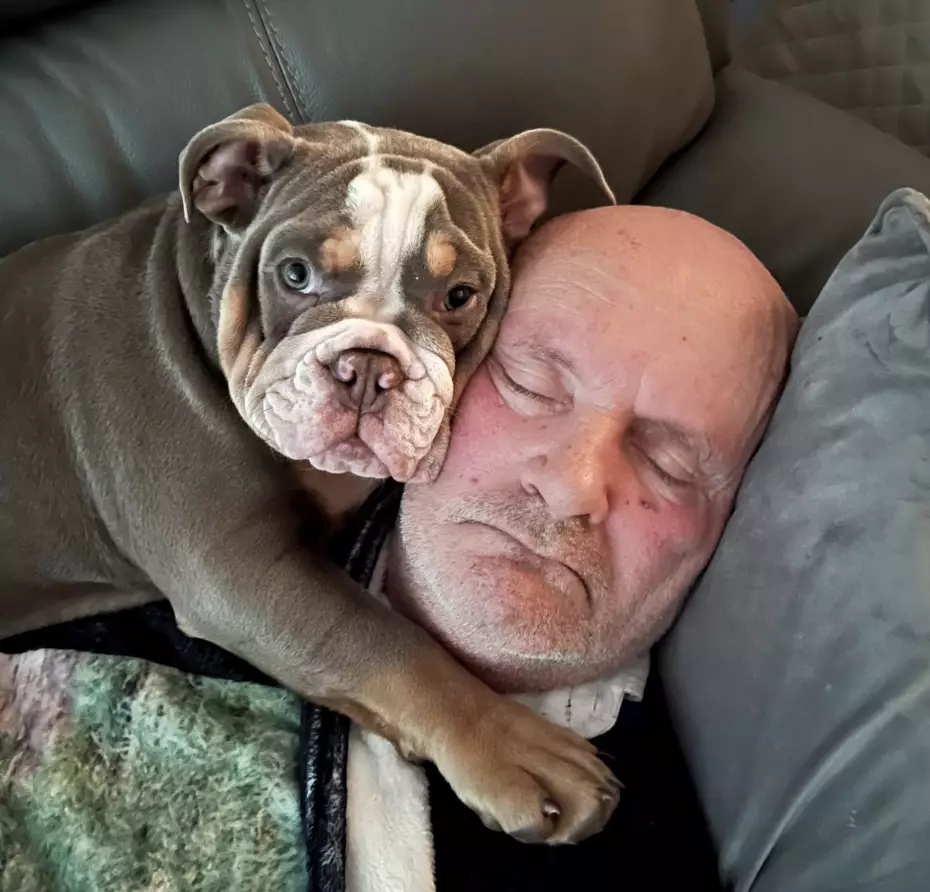 The playful pup gnawed on David's foot while he napped until his wife intervened.