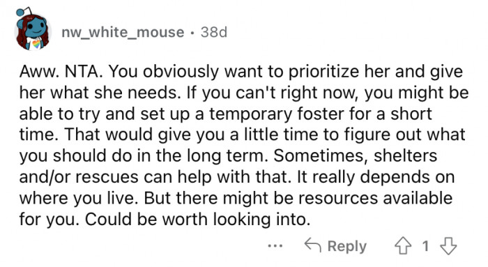 Temporary foster care could be an option.