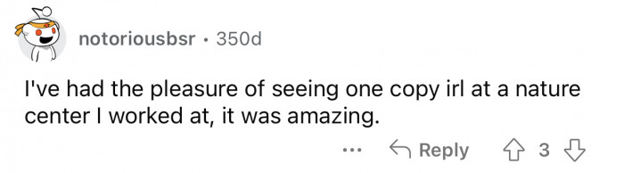 Seeing the book in real life is even more breathtaking.