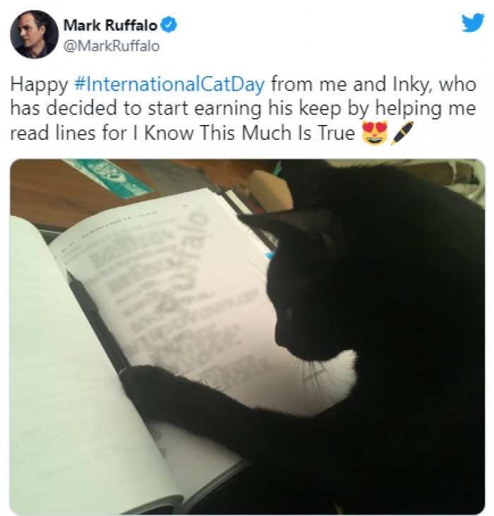 1. Mark Ruffalo tweeted a photo of his kitten Inky helping him out