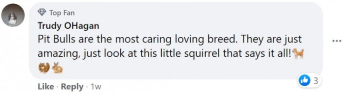 They are just amazing