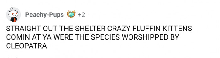 5. A preview of their first hit single