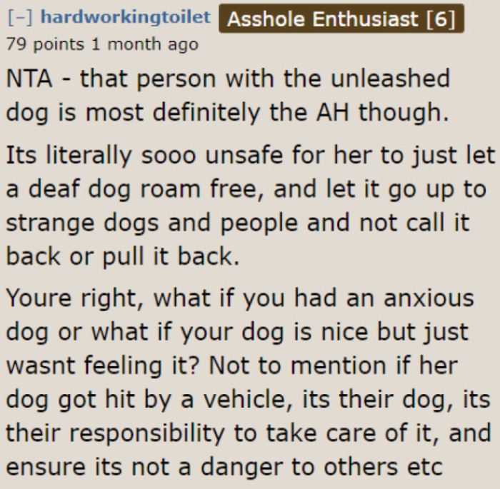 Unleashing the dog could lead to accidents. It might have been harmed if it approached unfriendly dogs.