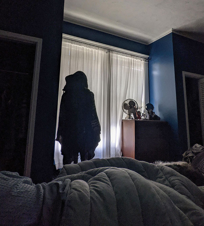 48. Woke up and discovered my wife moved our coat stand yesterday.