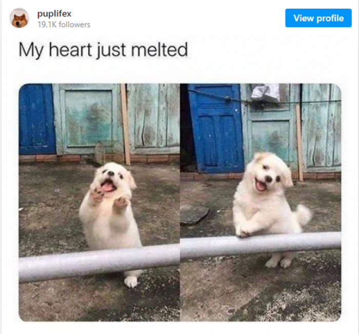 10. This is going to be the cutest Valentine face ever