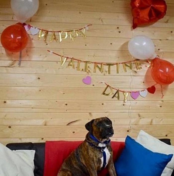 They planned a party to cheer him up after just over 200 days in the shelter