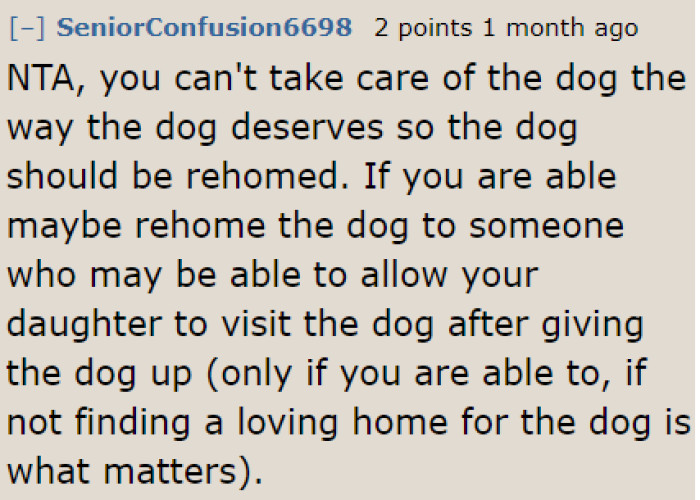 The dog needs to be fostered in a home where people can actually take care of it properly.