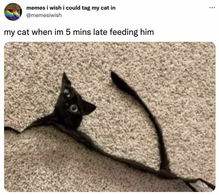 38. He's not trying to guilt you or anything, but claws are about to come out if you don't act fast