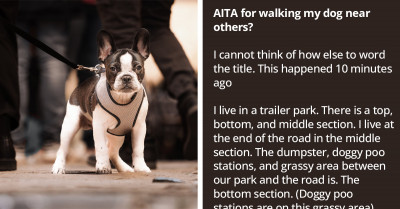 Redditor Gets Yelled At For Walking Their Dog On Common Grassy Area, Wonder What They Did Wrong