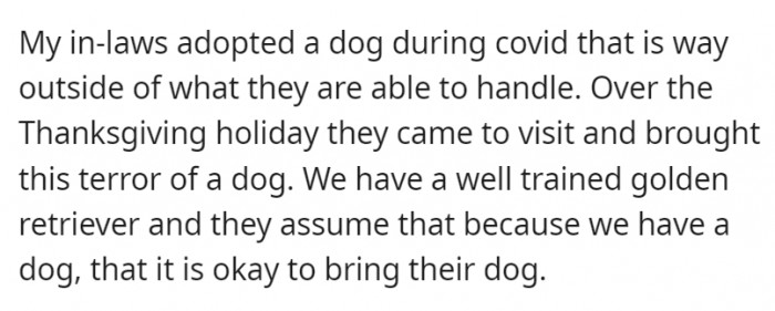 Just because the couple had a dog, MIL thought it was safe to bring their own dog along