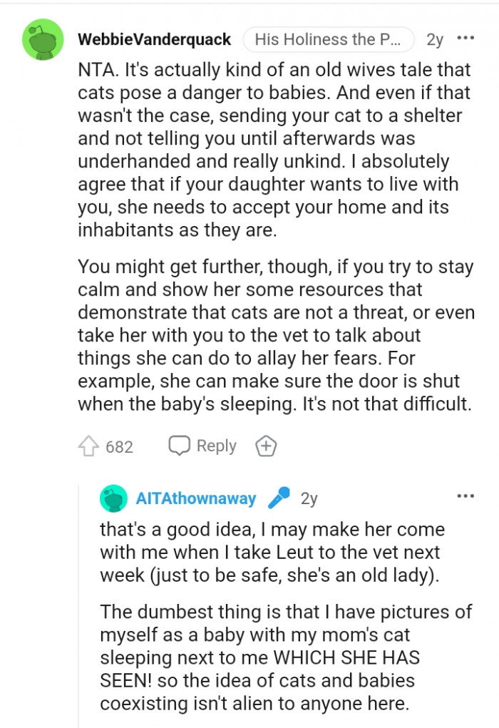 Sending your cat to a shelter was underhanded