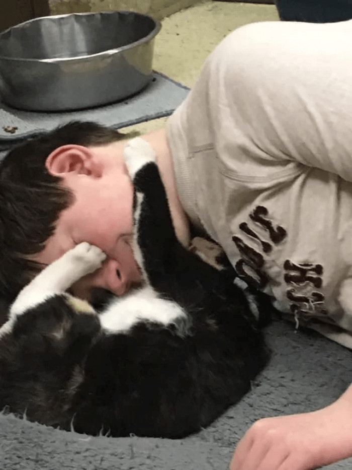 We cannot even imagine how much good volunteering in this shelter has done for this boy