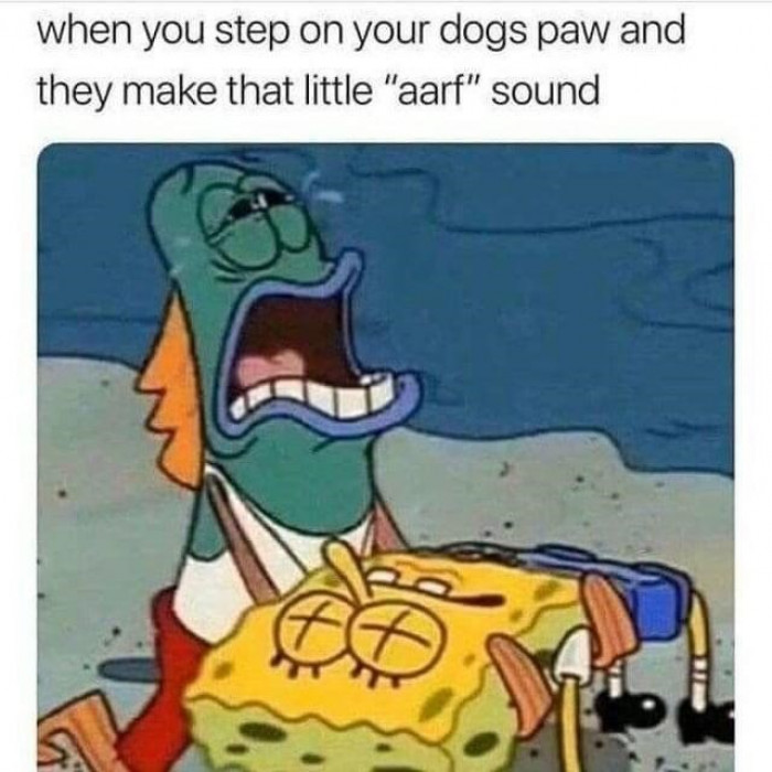 9. The sound your dog makes when you step on their paws